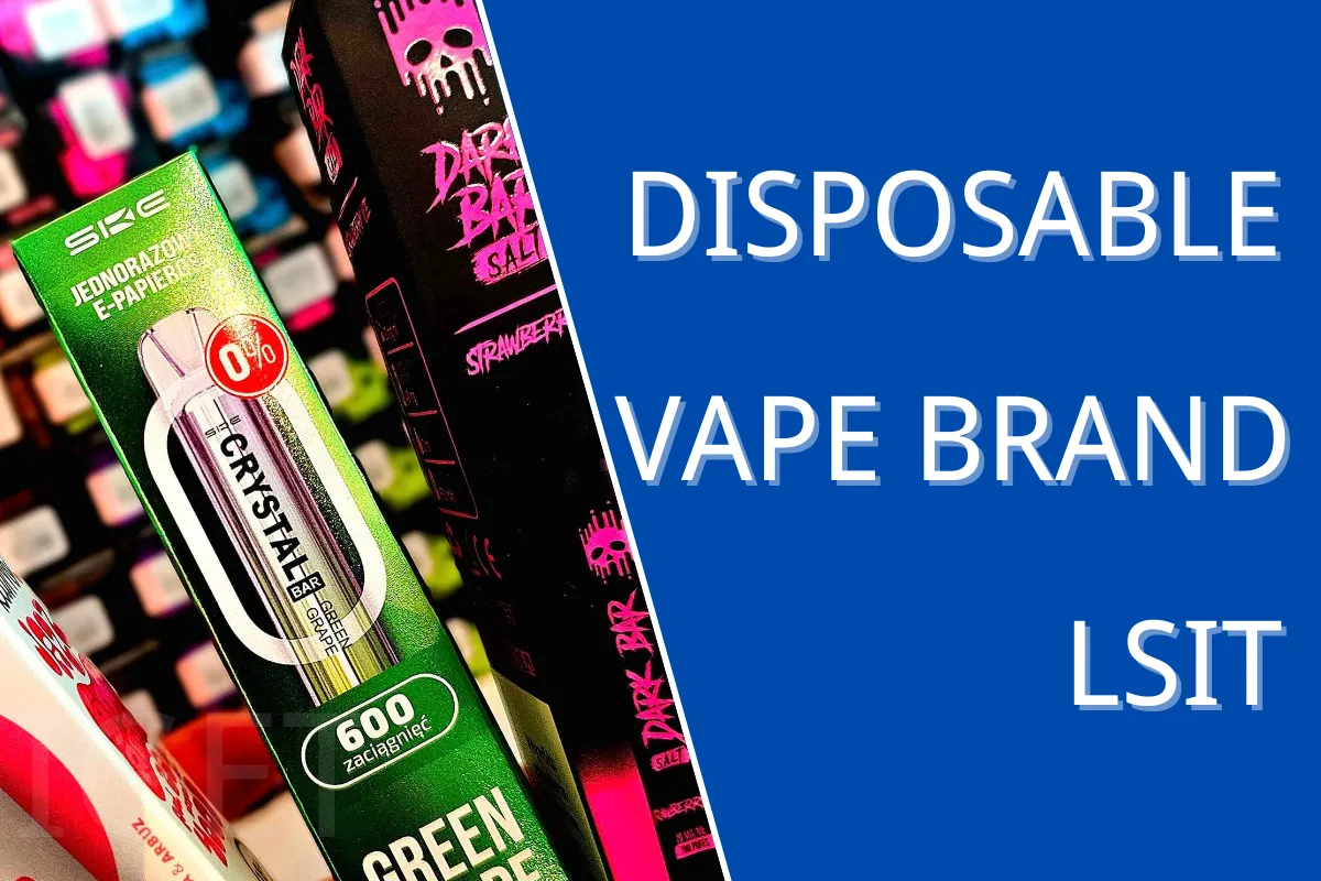 Disposable Vape Brands List